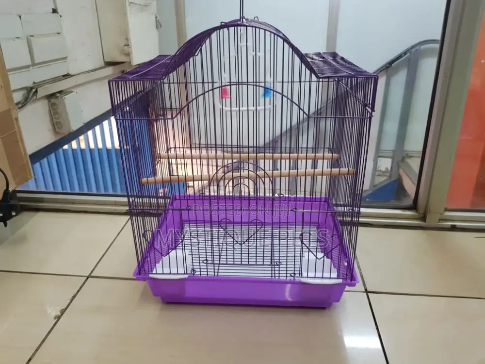 Small Bird Cages