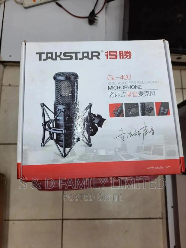 Takstar GL-400 Condenser Microphone - thumbnail 2