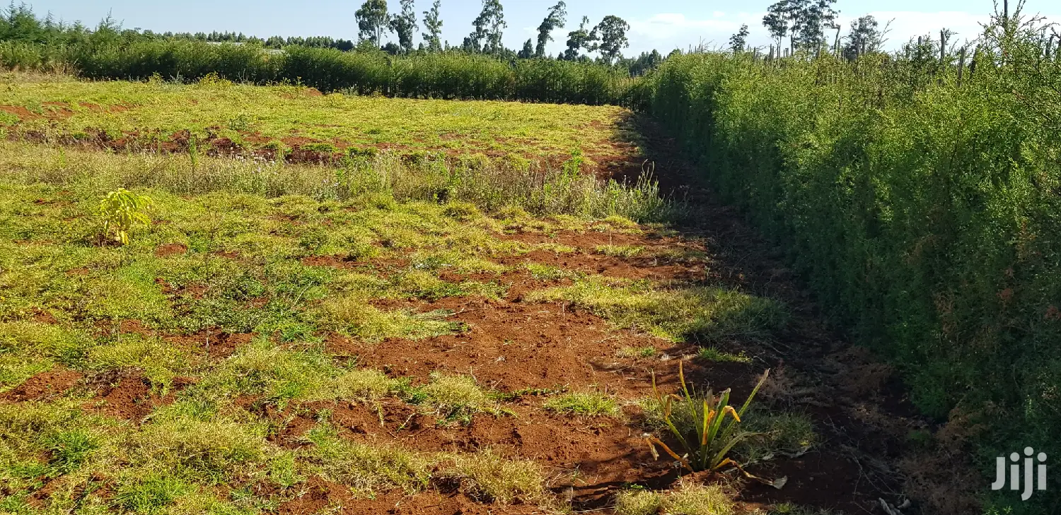 Residential Plots for Sale in Kapjagir in Eldoret