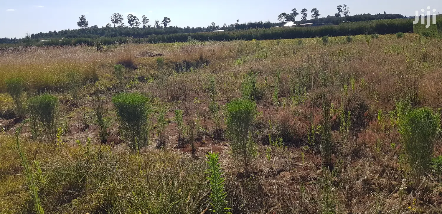 Residential Plots for Sale in Kapjagir in Eldoret