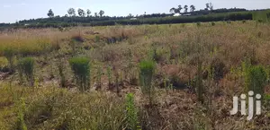 Residential Plots for Sale in Kapjagir in Eldoret
