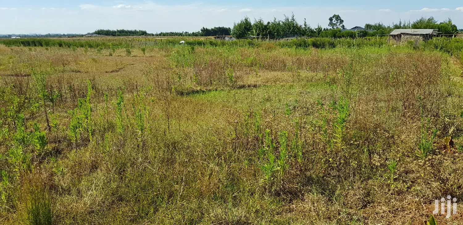 Residential Plots for Sale in Kapjagir in Eldoret