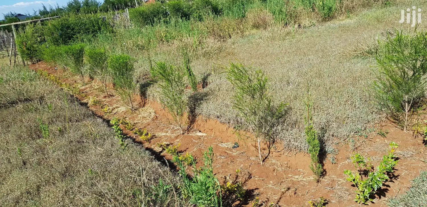 Residential Plots for Sale in Kapjagir in Eldoret