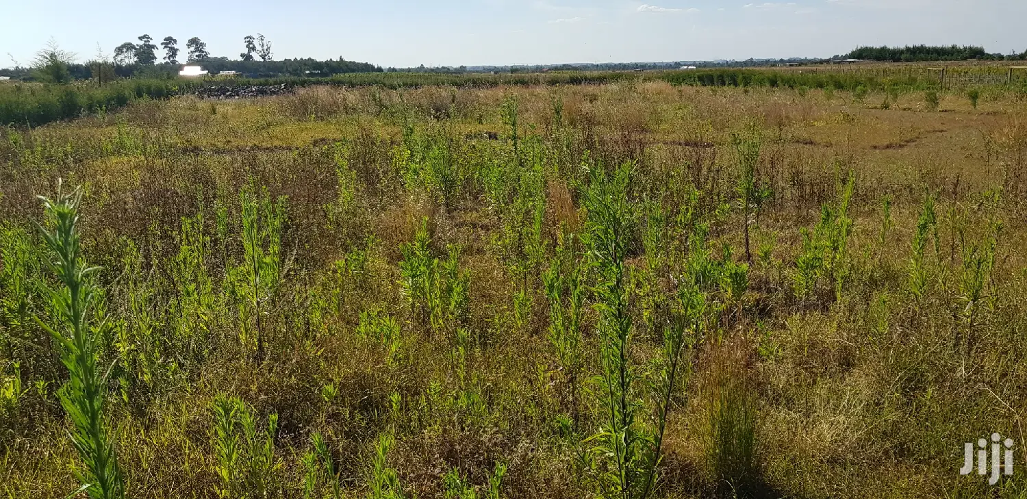 Residential Plots for Sale in Kapjagir in Eldoret