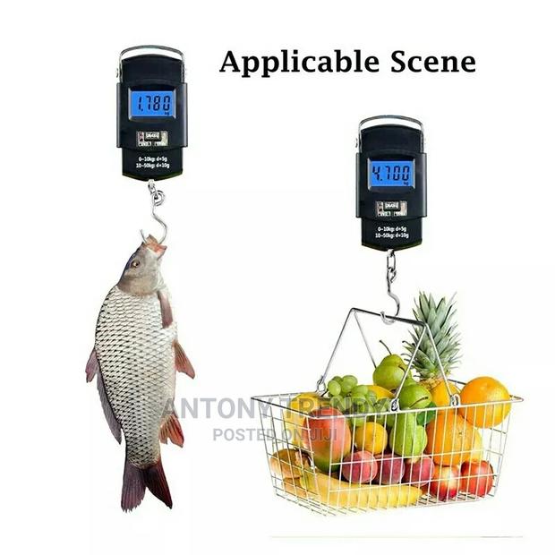 Highly Portable Digital Weighing Scale With Hook - main view