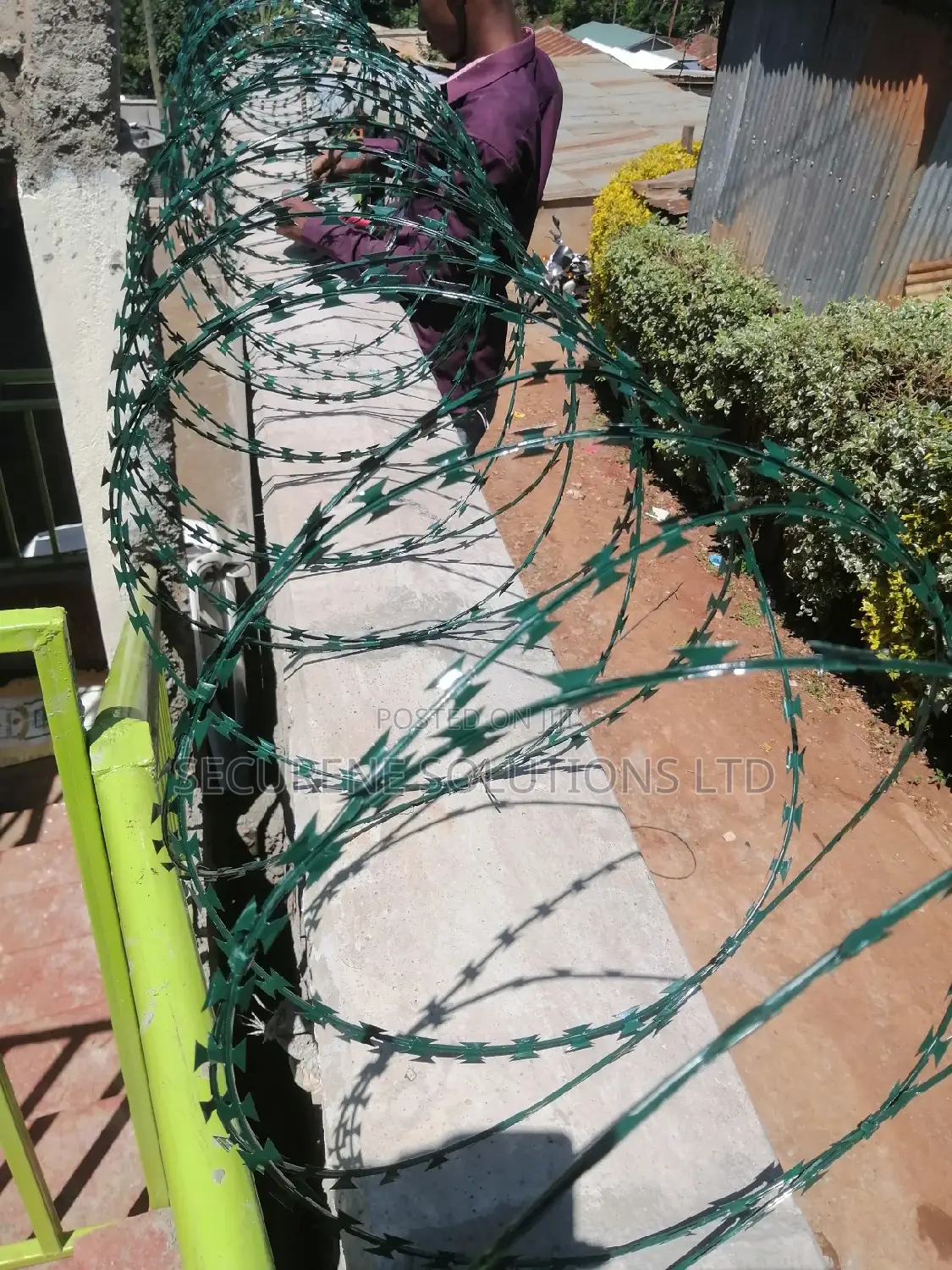 High End Green Double Galvanized Fencing Razor Wire