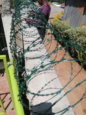 High End Green Double Galvanized Fencing Razor Wire