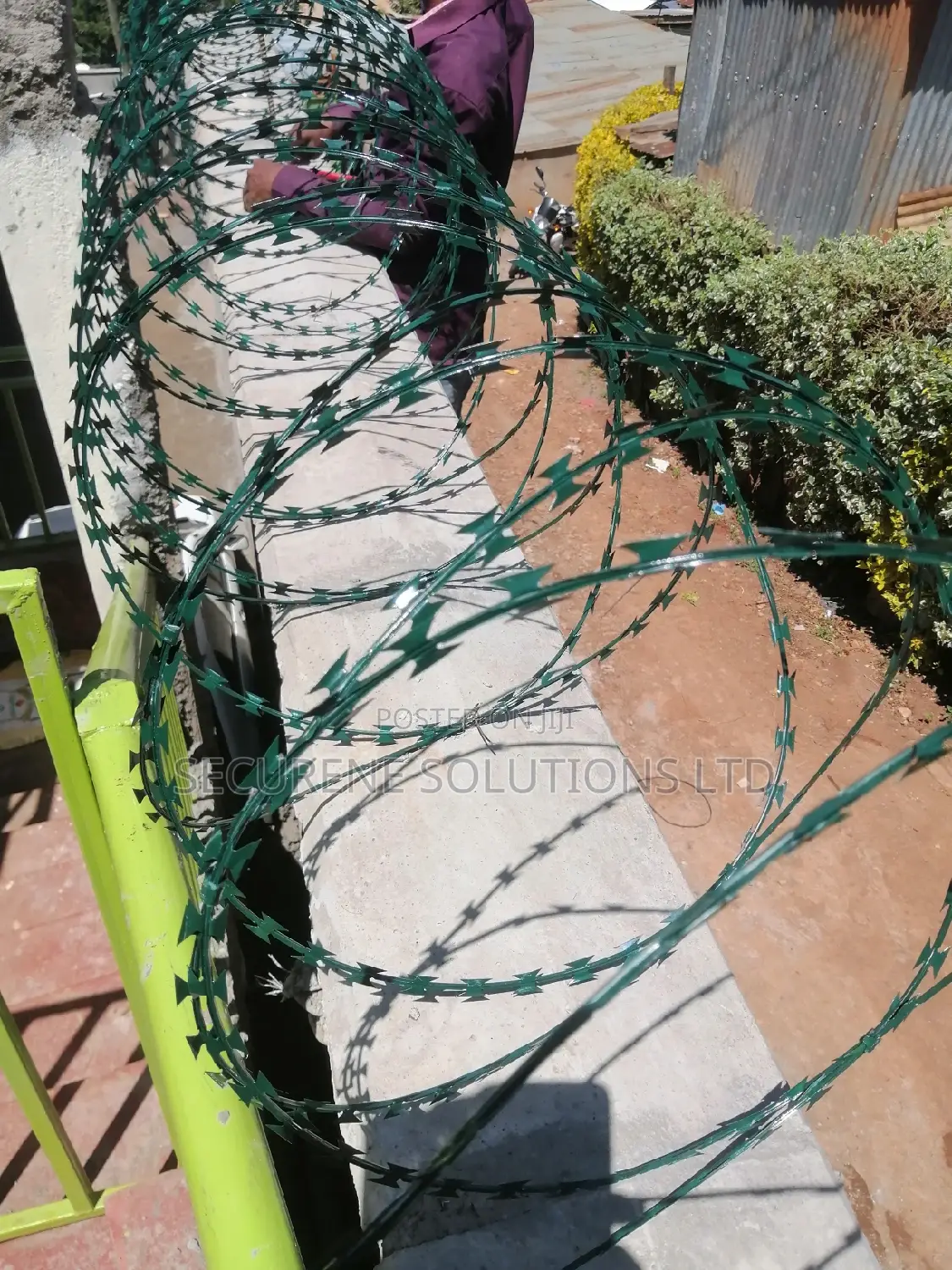 High End Green Double Galvanized Fencing Razor Wire