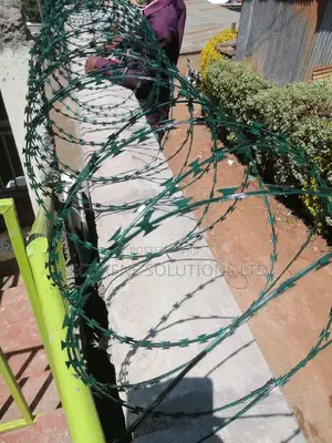 High End Green Double Galvanized Fencing Razor Wire