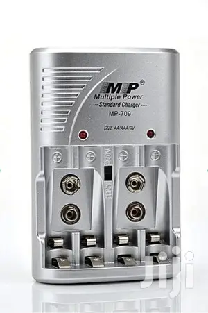Multiple Power Standard Charger