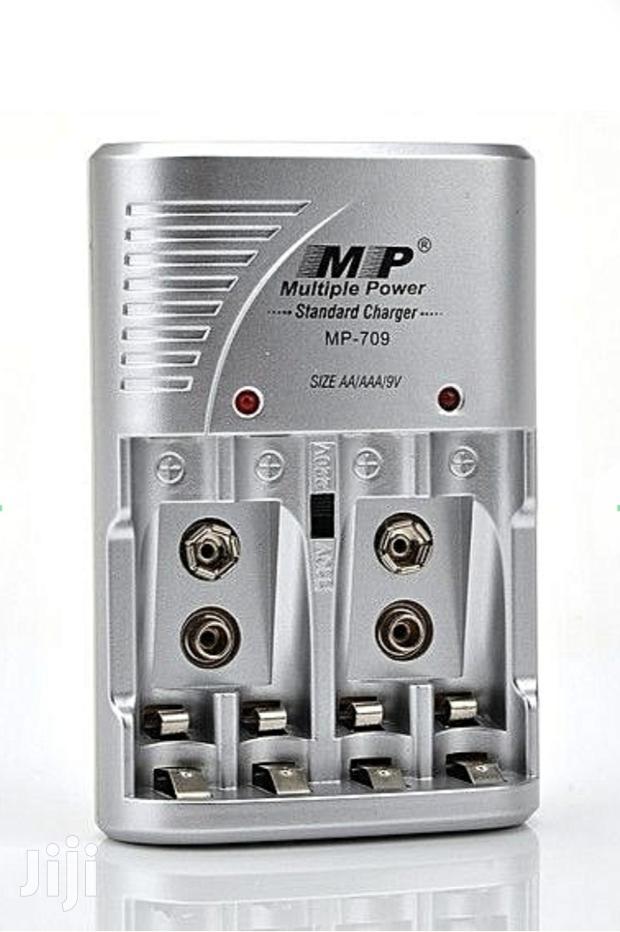 Multiple Power Standard Charger - main view