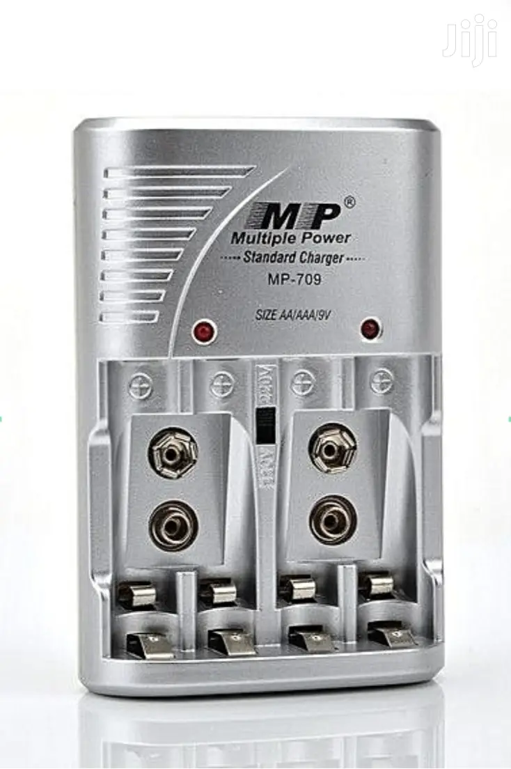 Multiple Power Standard Charger