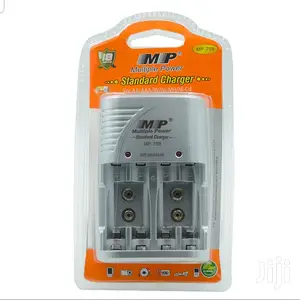 Multiple Power Standard Charger