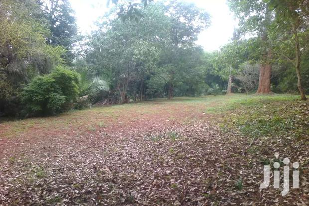 3.6 Acres Of Land For Sale In Old Muthaiga.