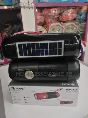 Wireless Portable Speakers