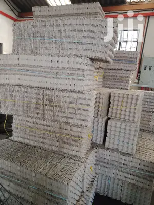 Paper Egg Trays / Carton Eggs Tray