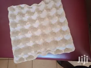 Paper Egg Trays / Carton Eggs Tray