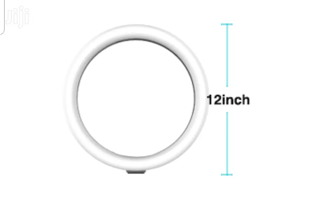 12" Ring Fill Light