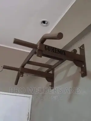 Pull Up Bar