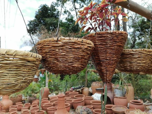 Hanging Baskets - main view