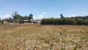 Good Residential Plot in Blossom With Title