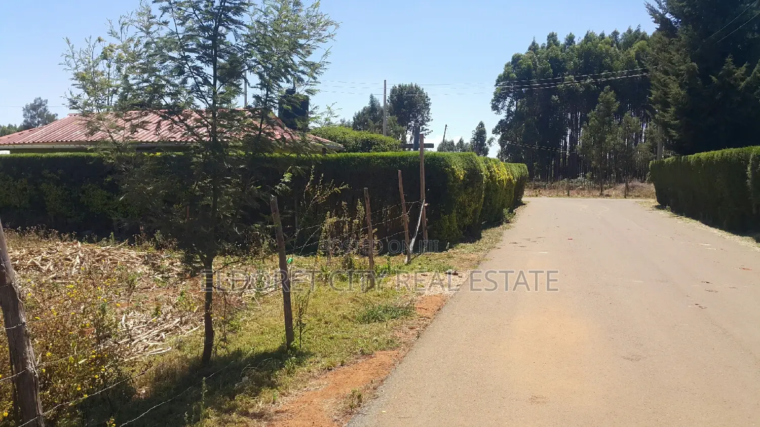 Good Residential Plot in Blossom With Title