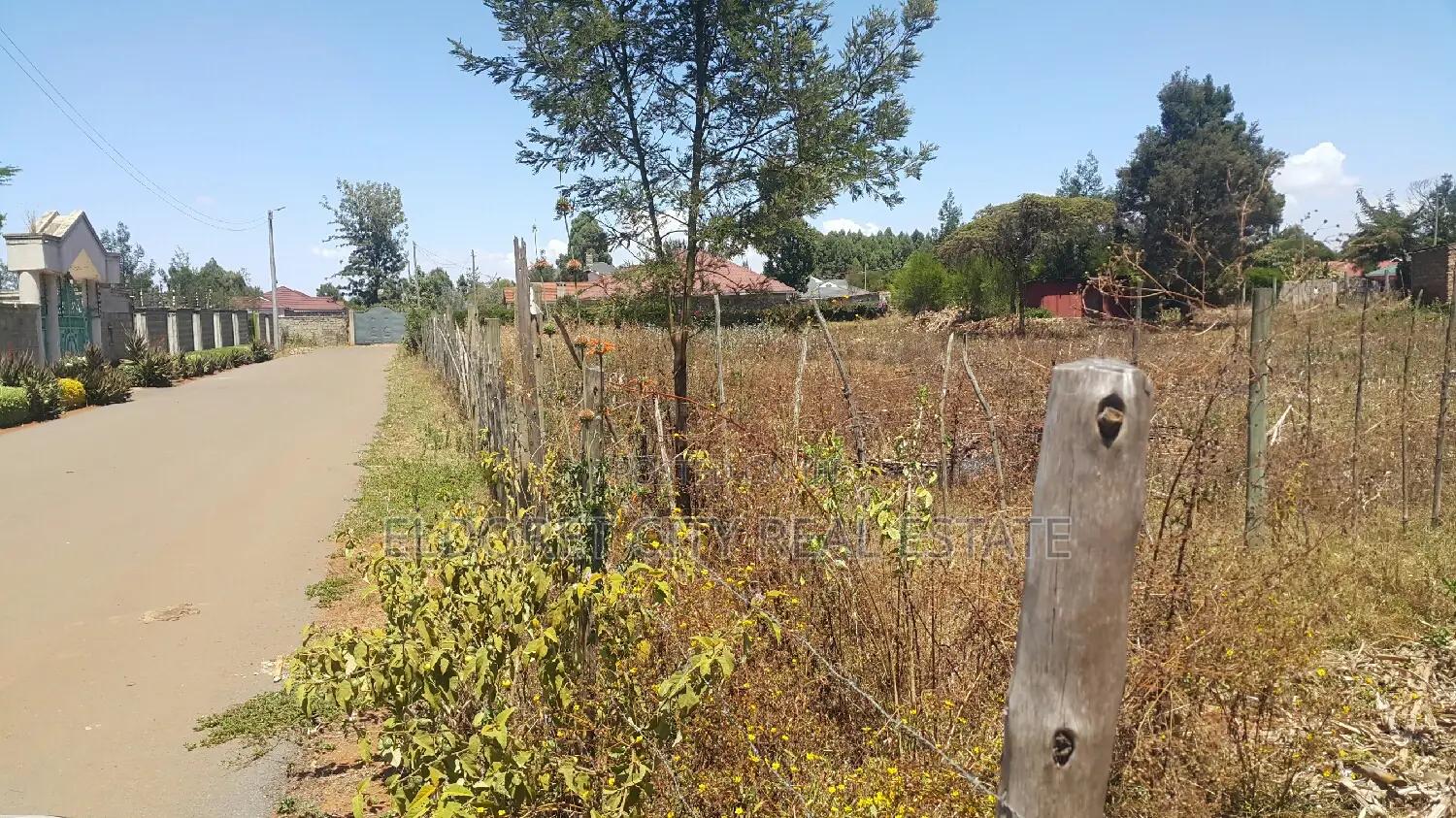 Good Residential Plot in Blossom With Title