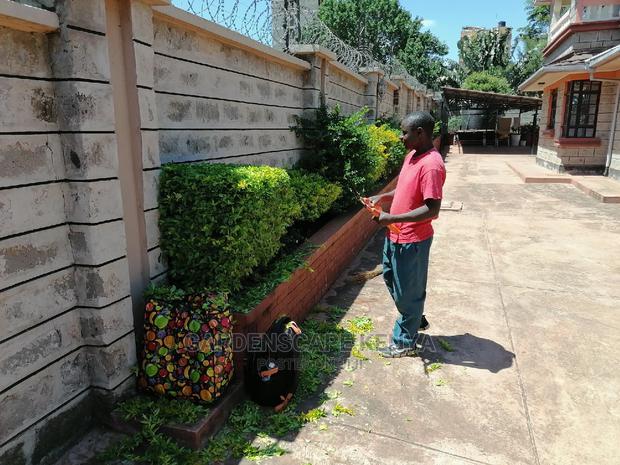 Fence Hedge Trimming