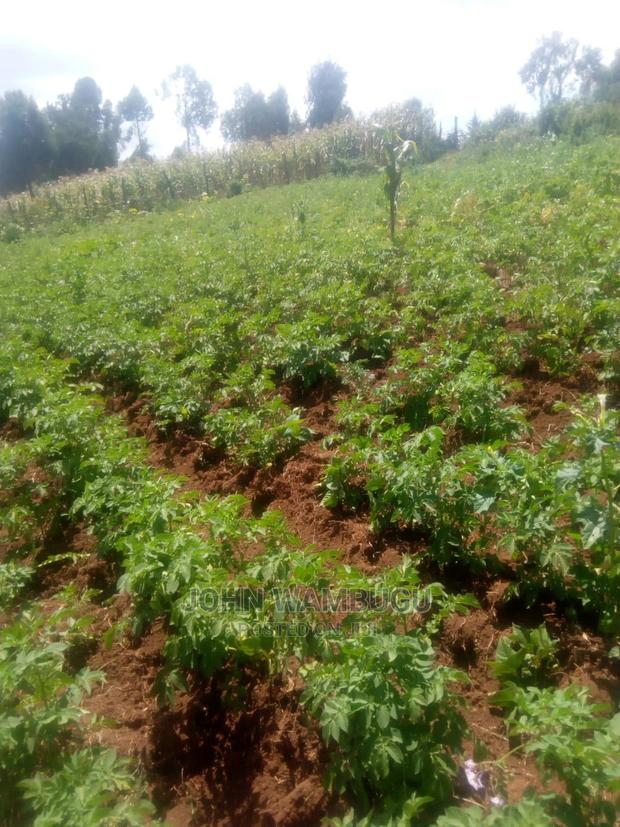 14acres of Land Olkalau Town - main view