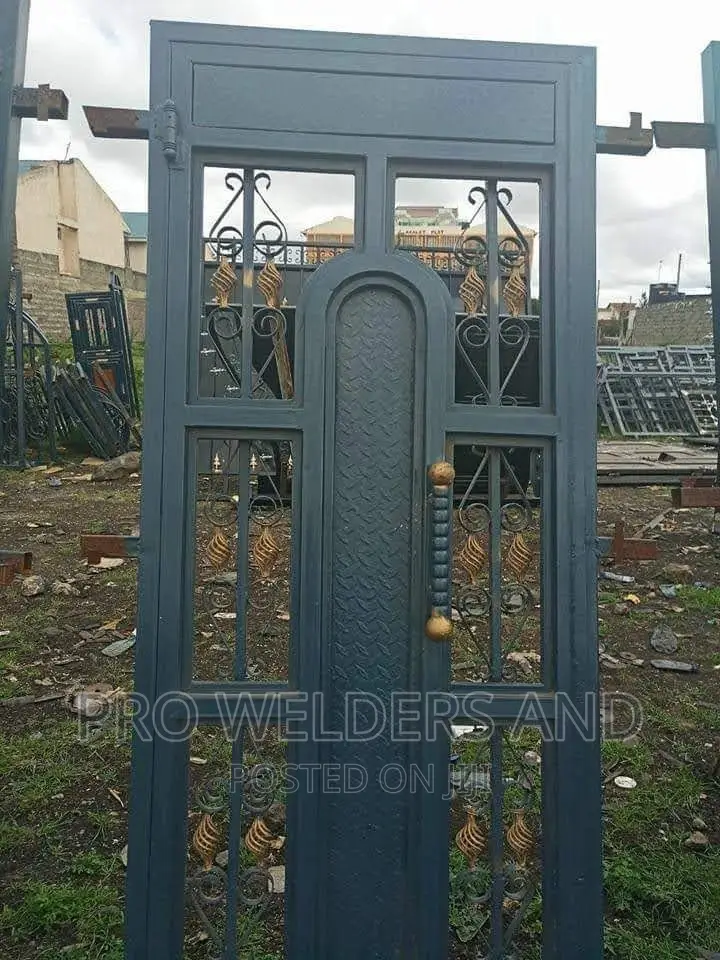 Strong Metallic Maindoor