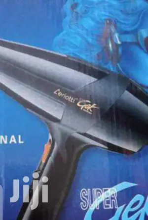 Super Quiet Ceriotti Blow Dry