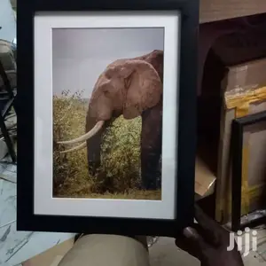 Elegant Photo Frames