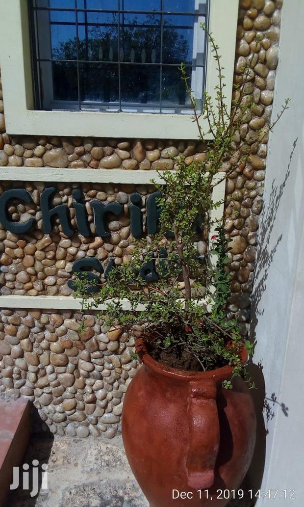 Furnished Studio - thumbnail 9