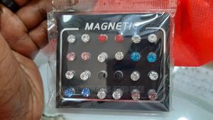 Magnetic Earings - main view