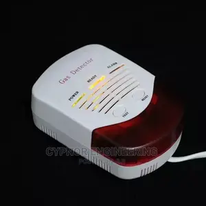 Gas Leak Detector