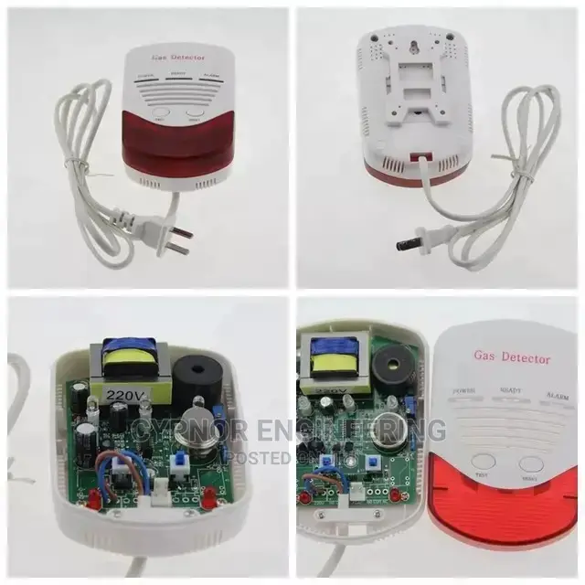 Gas Leak Detector