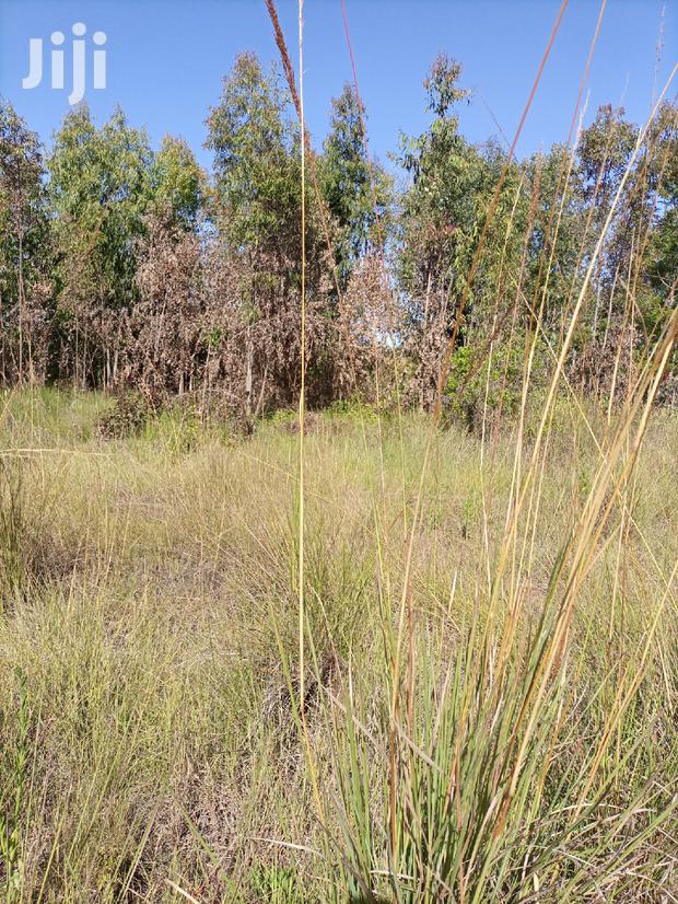 Selling 50x100 Acre in Kenyatta Rd Croton Estate.