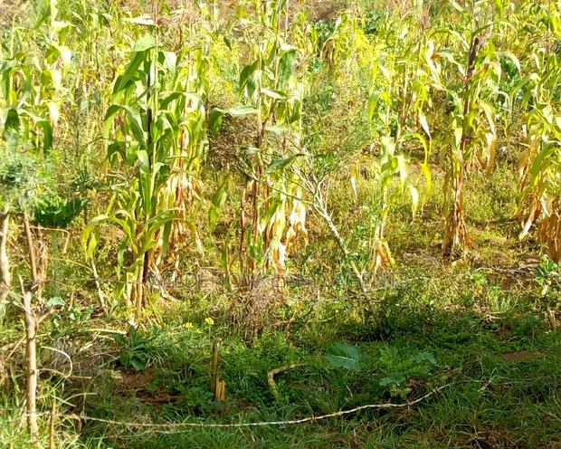 10 Plots on Sale Karati Naivasha