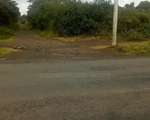 10 Plots on Sale Karati Naivasha