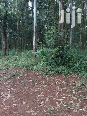 Selling 13 Acres in Karen Near Resurrection Garden.