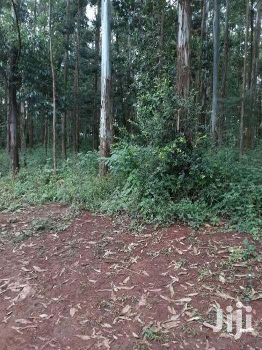 Selling 13 Acres in Karen Near Resurrection Garden.