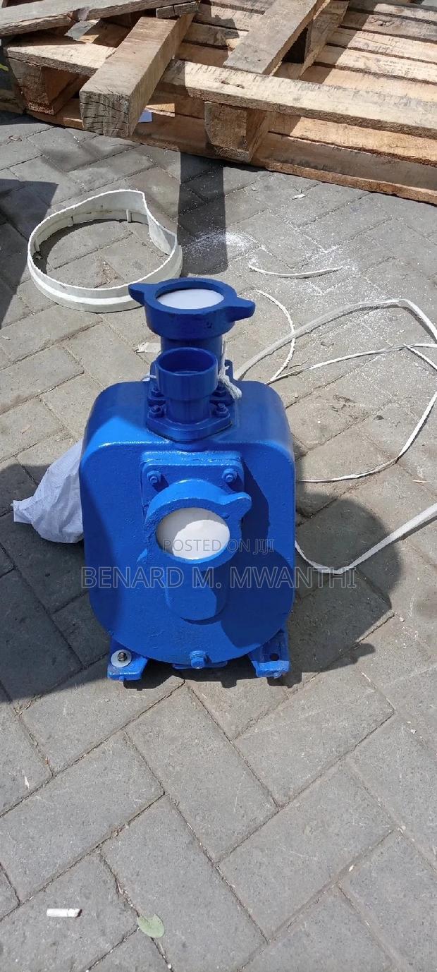 Centrifugal Bare Pump - thumbnail 2