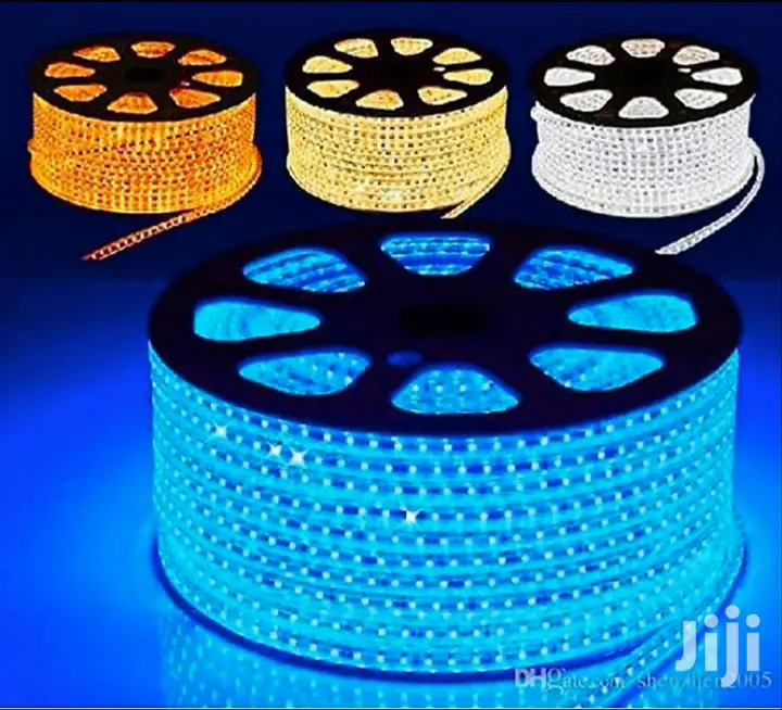 50 Meters Snake Light (Rope Light )