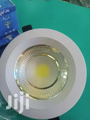 30 Watts Cob Downlighter