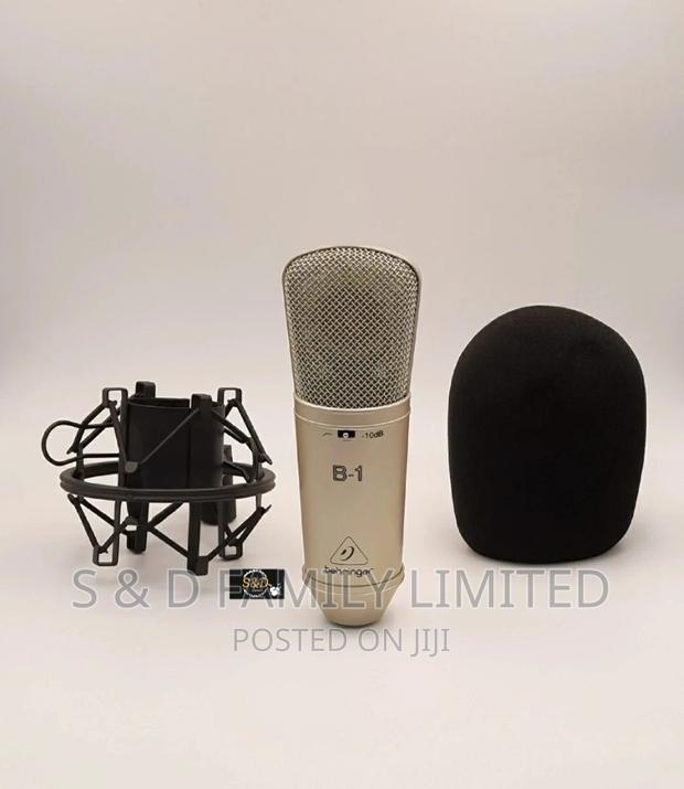 Behringer B1 Condensor Microphone - main view