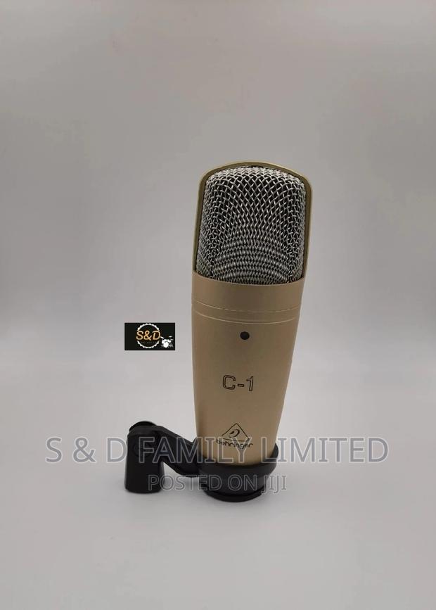 Behringer C1 - main view