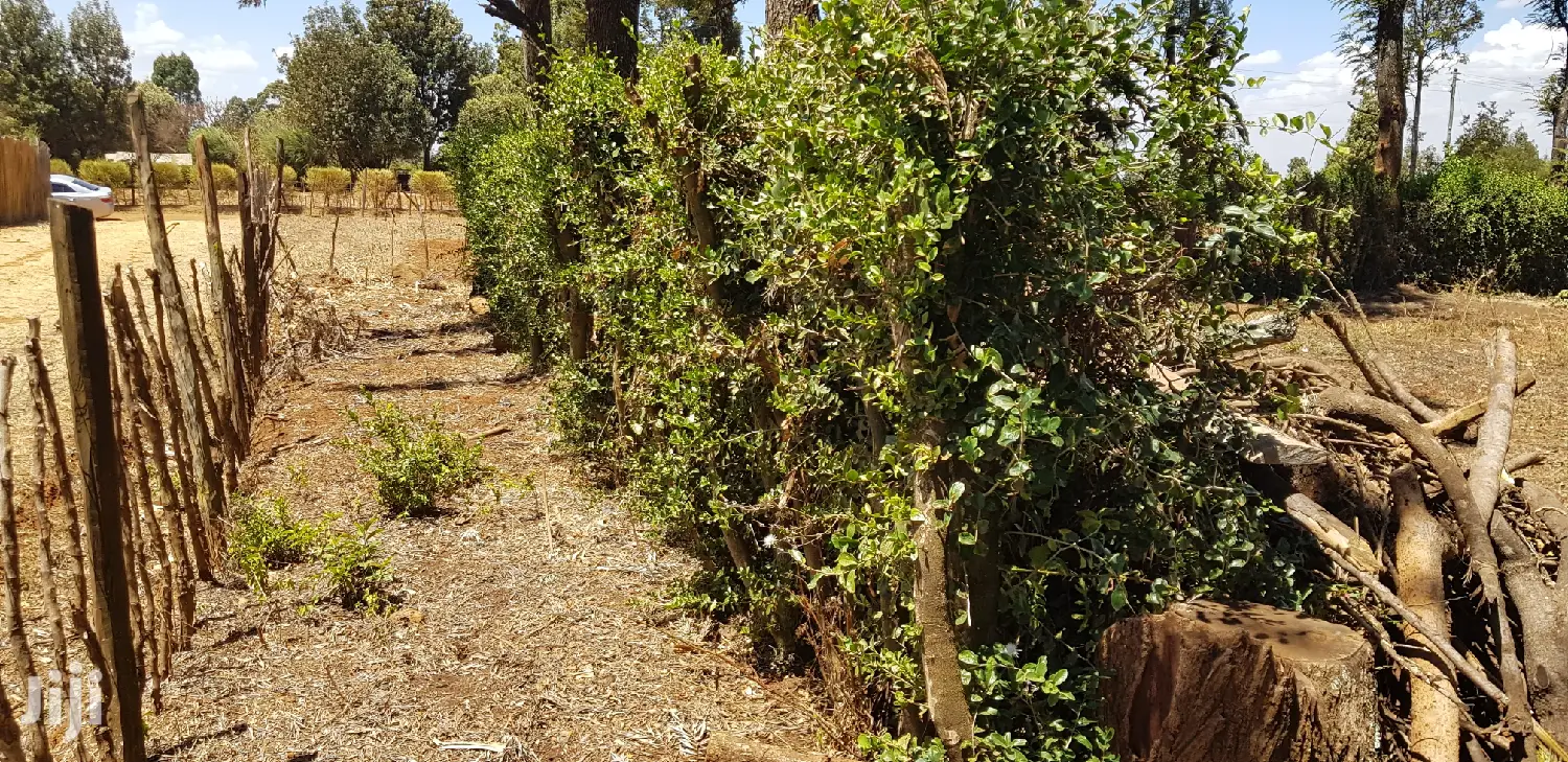 Plots for Sale in Kuinet Eldoret