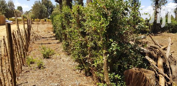 Plots for Sale in Kuinet Eldoret - thumbnail 3