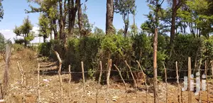 Plots for Sale in Kuinet Eldoret