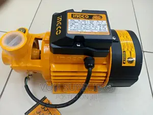 Ingco Surface Pump